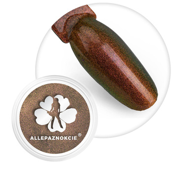 Pyłek do paznokci Chameleon premium Allepaznokcie elegance 0,5 g Nr 2