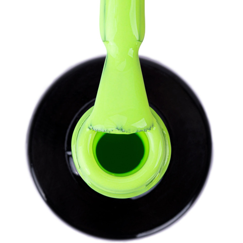 Lakier hybrydowy NTN Premium Limited Edition 5g Nr 379