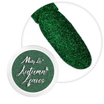 Pyłek do paznokci MollyLac Autumn Leaves 1g Nr 7