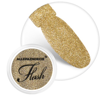 Pyłek do paznokci Flash Allepaznokcie Nr 6