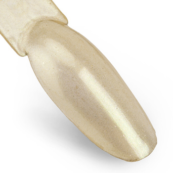 Pyłek do paznokci Chameleon Effect Allepaznokcie Nr 10