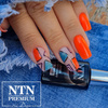 10+2gratis Lakier hybrydowy NTN Premium California Collection Neon HEMA/Di-HEMA Free 5g Nr 142