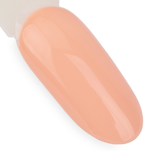 Lakier hybrydowy NTN Premium Day Dreaming Collection 5g Nr 59