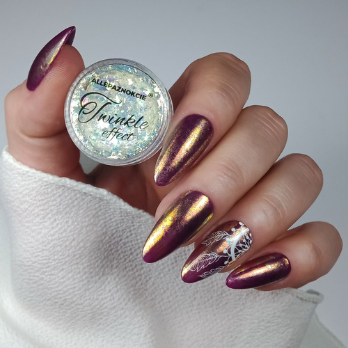 Pyłek do paznokci Twinkle Effect Allepaznokcie Nr 5