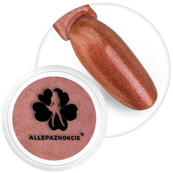 Pyłek do paznokci Chameleon Effect Allepaznokcie Nr 12