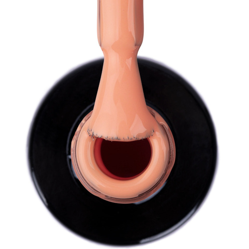 Lakier hybrydowy NTN Premium Limited Edition 5g Nr 333