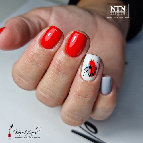 Lakier hybrydowy NTN Premium Splash Collection 5g Nr 126