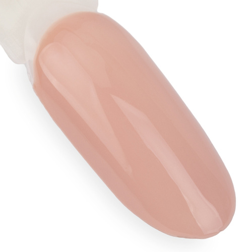 Lakier hybrydowy NTN Premium Day Dreaming Collection HEMA/Di-HEMA Free 5g Nr 60