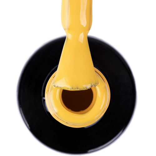 Lakier hybrydowy NTN Premium Limited Edition 5g Nr 381