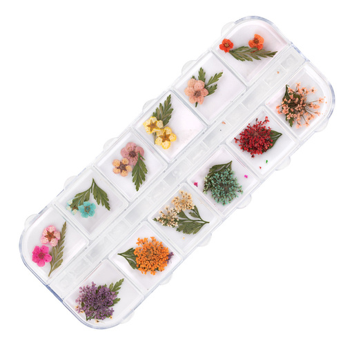 Suszone kwiaty do zdobień paznokci w kasetce Molly Nails rodzaj E 36szt
