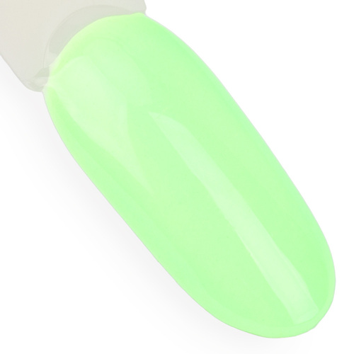 Lakier hybrydowy NTN Premium Soft Touch Collection 5g Nr 07