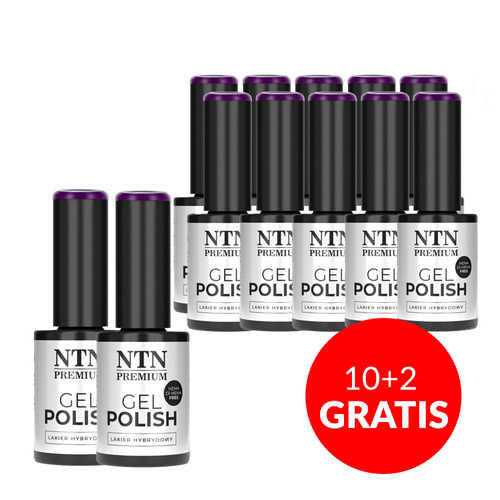 10+2gratis Lakier hybrydowy NTN Premium Viral colors HEMA/Di-HEMA Free 5g Nr 294