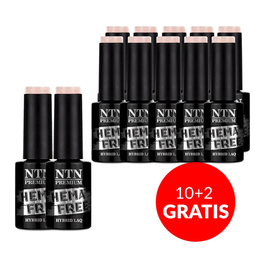 10+2gratis Lakier hybrydowy NTN Premium Day Dreaming Collection HEMA/Di-HEMA Free 5g Nr 63