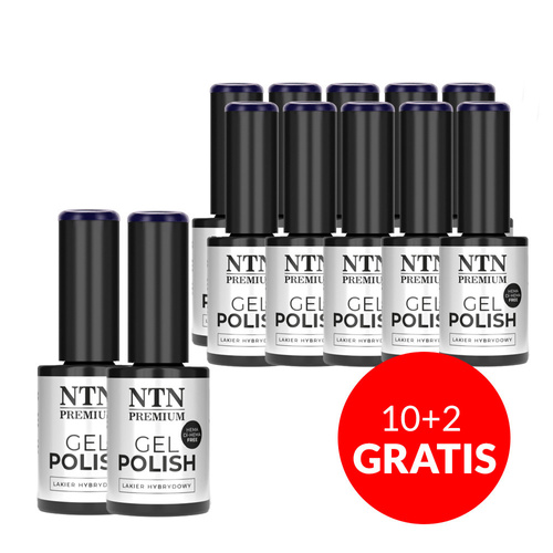 10+2gratis Lakier hybrydowy NTN Premium Oriental Delice HEMA/Di-HEMA Free 5g Nr 266