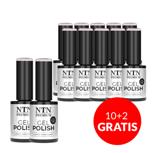 10+2gratis Lakier hybrydowy Ntn Premium Impression HEMA/DI-HEMA free 5g Nr 257