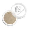 Pyłek do paznokci Silver magic dust Allepaznokcie słoiczek 1g
