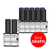 10+2gratis Lakier hybrydowy LED/UV Gel Polish NTN Premium Limited Edition Nr 125 HEMA/Di-HEMA Free 5g