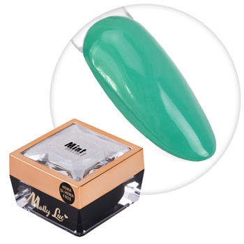 Żel do zdobień Ombre Gel paint gel ombre ornamenty MollyLac Mint HEMA/Di-HEMA Free Nr 13 5g