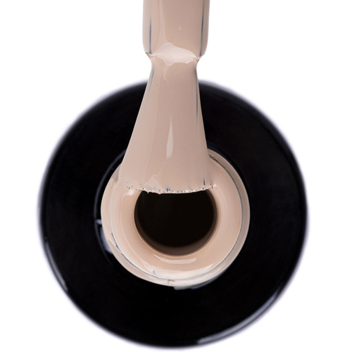 Lakier hybrydowy NTN Premium Limited Edition 5g Nr 403