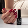 Lakier hybrydowy NTN Premium Passion for Love Collection HEMA/Di-HEMA Free 5g Nr 206