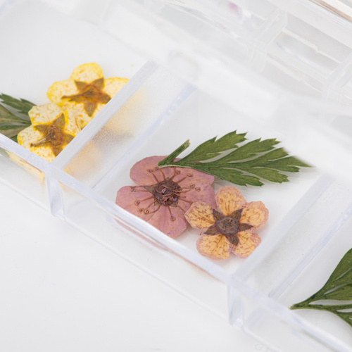 Suszone kwiaty do zdobień paznokci w kasetce Molly Nails rodzaj E 36szt