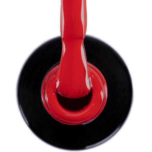 Lakier hybrydowy NTN Premium Multicolor Collection 5g Nr 88