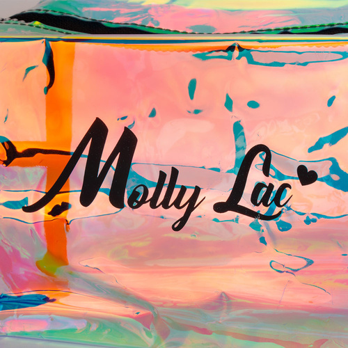 Kosmetyczka piórnik holograficzna przezroczysta MollyLac 1 szt