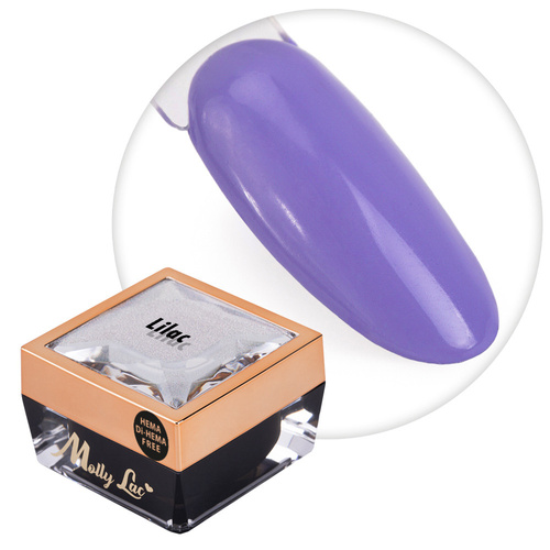 Żel do zdobień Ombre Gel paint gel ombre ornamenty MollyLac Lilac HEMA/Di-HEMA Free Nr 17 5g