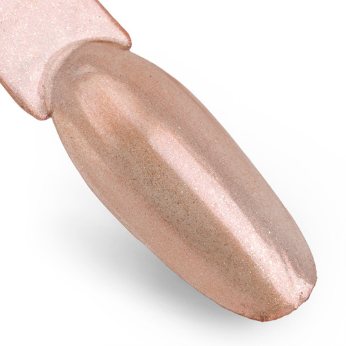 Pyłek do paznokci Chameleon Effect Allepaznokcie Nr 14