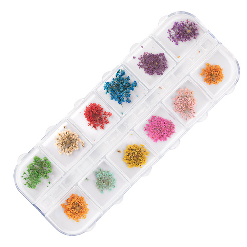 Suszone kwiaty do zdobień paznokci w kasetce Molly Nails rodzaj A 24szt