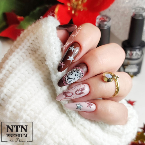 Lakier hybrydowy NTN Premium Show Collection HEMA/Di-HEMA Free 5g Nr 112