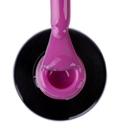 Lakier hybrydowy NTN Premium Limited Edition 5g Nr 421