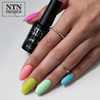 Lakier hybrydowy NTN Premium California Collection 5g Nr 136