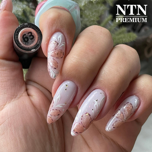 10+2gratis Lakier hybrydowy NTN Premium Day Dreaming Collection HEMA/Di-HEMA Free 5g Nr 63