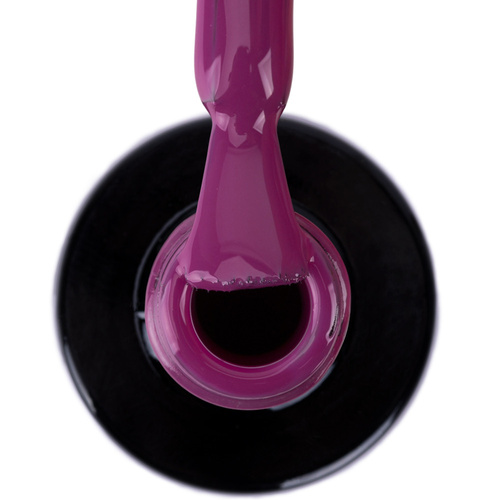 Lakier hybrydowy NTN Premium Limited Edition 5g Nr 389