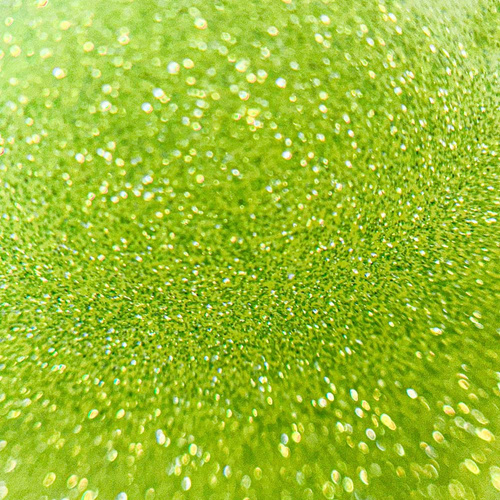 Lakier hybrydowy Molly Nails Flashing Lights Neon Evergreen HEMA/Di-HEMA Free 8g Nr 647