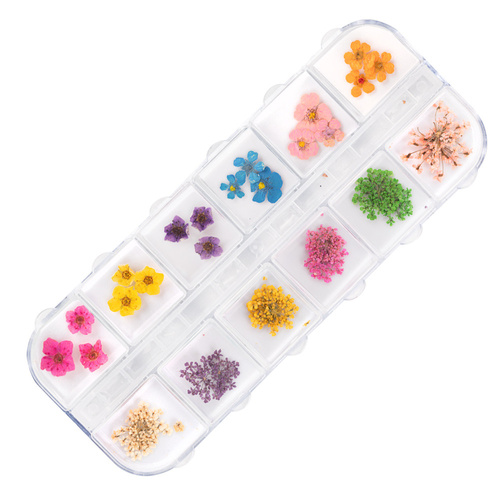 Suszone kwiaty do zdobień paznokci w kasetce Molly Nails rodzaj B 36szt