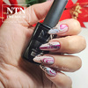 Lakier hybrydowy NTN Premium Topless Collection 5g Nr 18