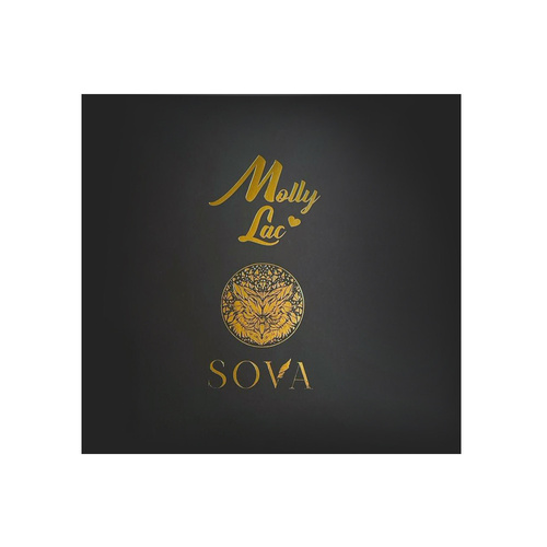 Piórnik etui przybornik na pędzle Sova by Aleksandra Sowa-Falarz różowy