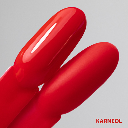 Lakier hybrydowy LED/UV Gel Polish Molly Nails by Ewelina Staszak Talizman T5 Karneol HEMA/Di-HEMA Free 7g