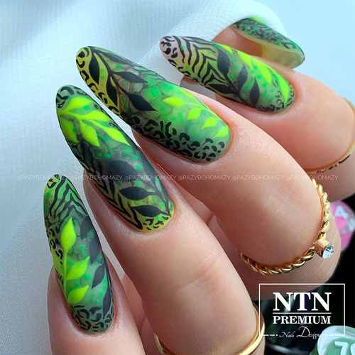 Lakier hybrydowy NTN Premium Fiesta Collection 5g Nr 76