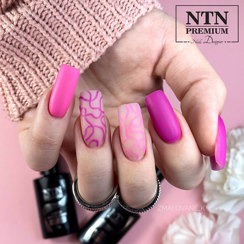 Lakier hybrydowy NTN Premium Birthday Party Collection 5g Nr 54