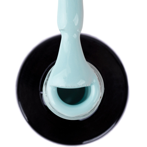 Lakier hybrydowy NTN Premium Limited Edition 5g Nr 422