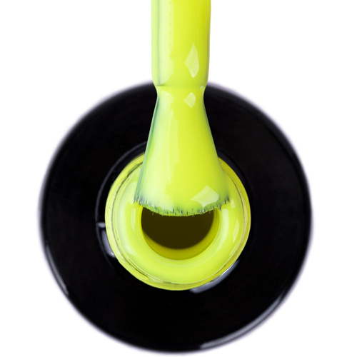 Lakier hybrydowy NTN Premium Limited Edition 5g Nr 431