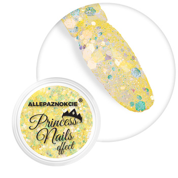 Pyłek do paznokci Princess Nails Allepaznokcie 1 g Nr 2