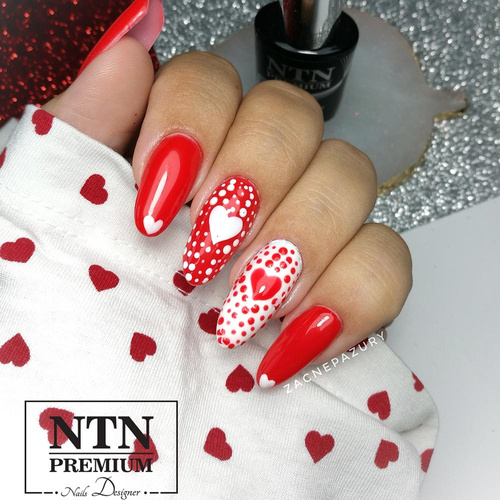 Lakier hybrydowy NTN Premium After Midnight Collection 5g Nr 66