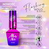 5+1gratis Lakier hybrydowy Molly Nails Flashing Holo in Bottle 8g