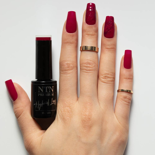 Lakier hybrydowy NTN Premium Passion for Love Collection HEMA/Di-HEMA Free 5g Nr 206