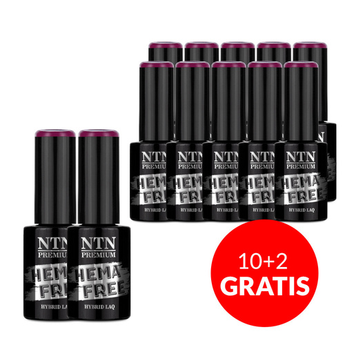 10+2gratis Lakier hybrydowy Ntn Premium Neomagic HEMA/Di-HEMA Free 5g Nr 276