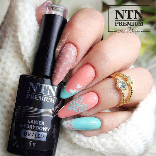 Lakier hybrydowy NTN Premium Garden Party Collection 5g Nr 177